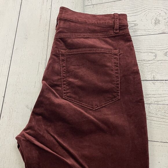 LOFT Women's Size 29 Burgundy Velvet Skinny Leg High-Rise Stretch Pants NWT - Picture 1 of 10
